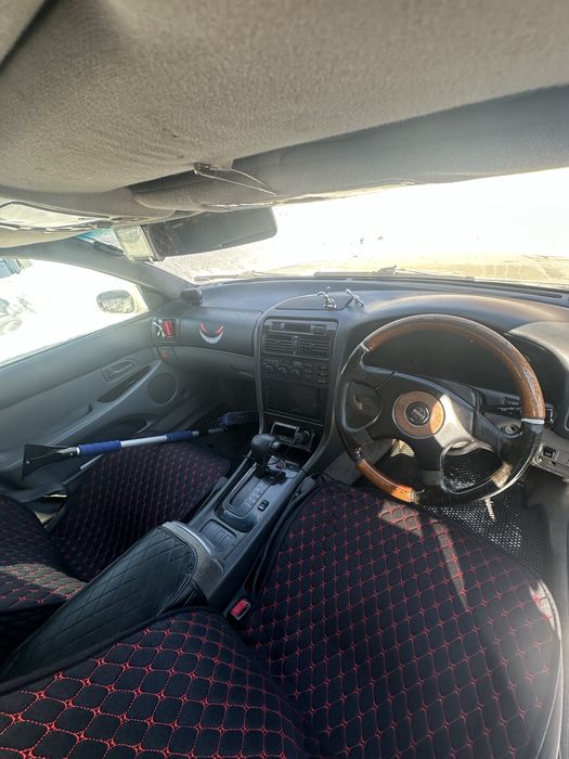 Пртдам. Таета аристо