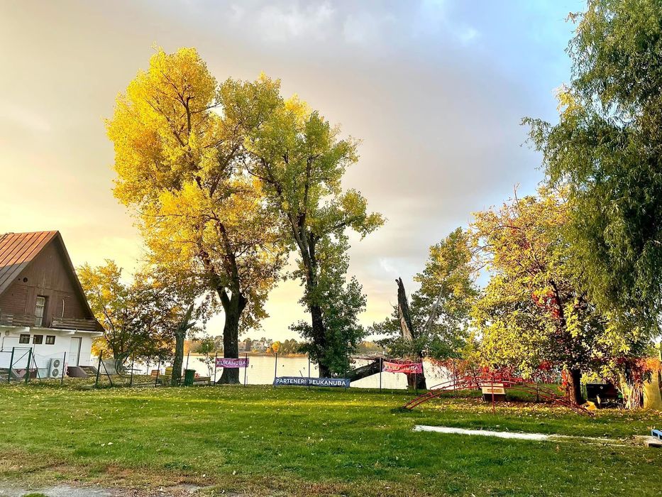 Dresaj canin / Pensiune canina