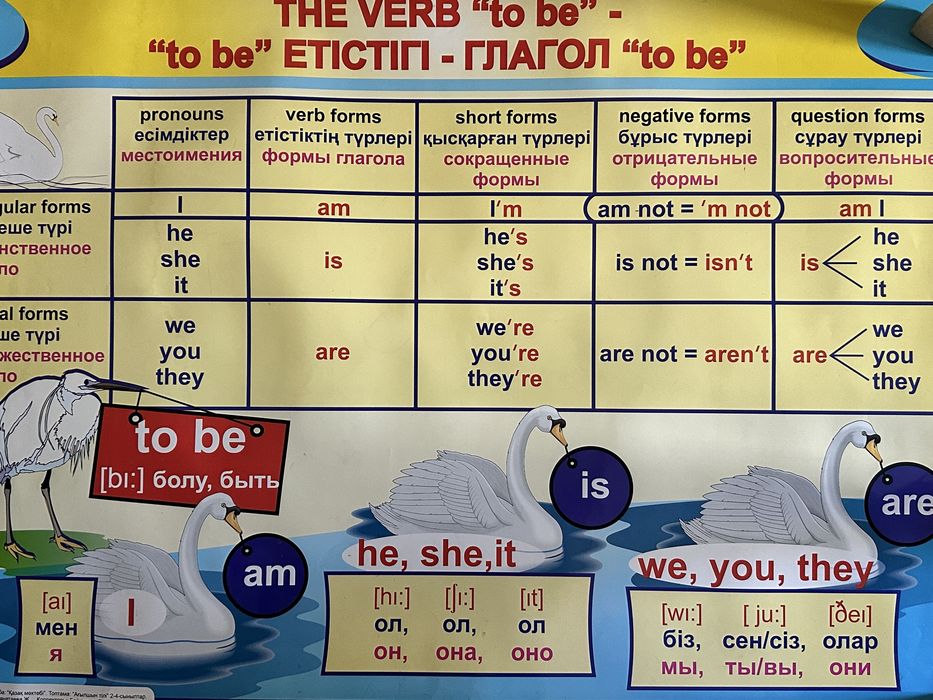 Учебные иллюстративные плакаты