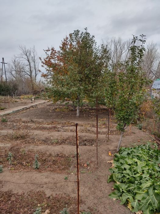 Продам дачу в с/о " арматурщик "