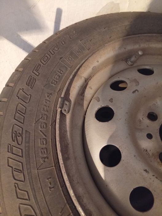 Продам гусиный жир