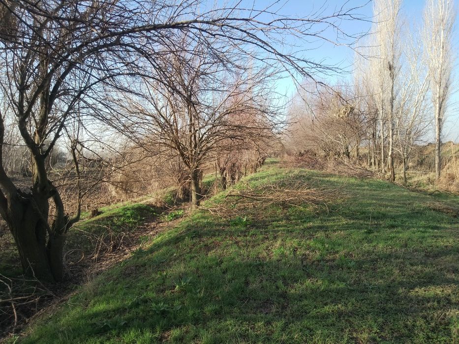 Бука мфй  Уй сотилади 5 хонали гараж бог