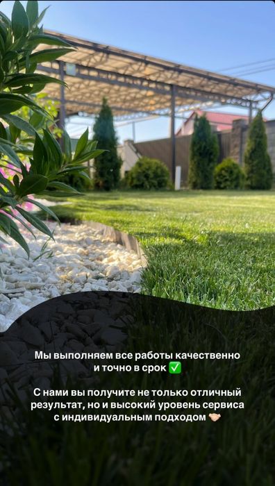 Газон посевной и рулонный