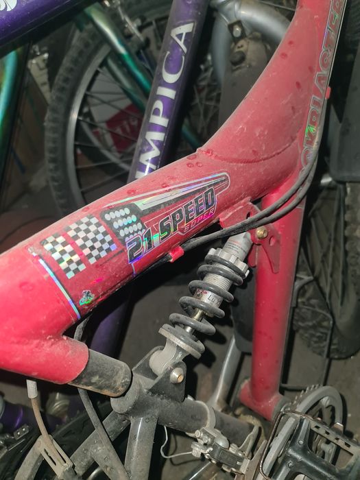 Diverse modele de biciclete