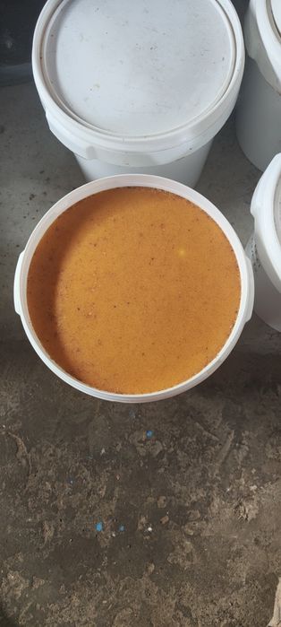 Miere albine poliflora 14 lei 1200 kg