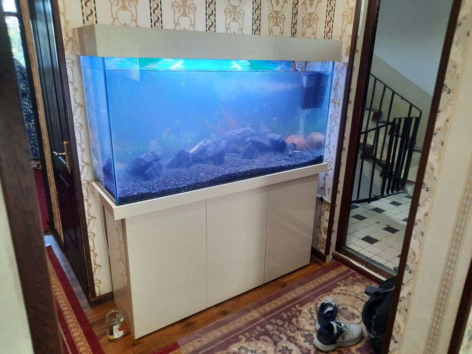 Sotiladi optimi  tayor akvarumla