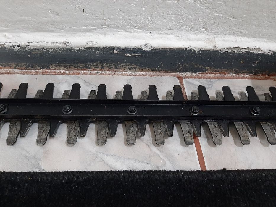 Vând mașină de tuns garduri viu