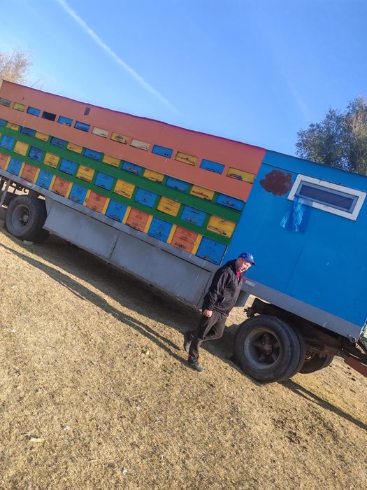 Продам прицеп пчеловодческий