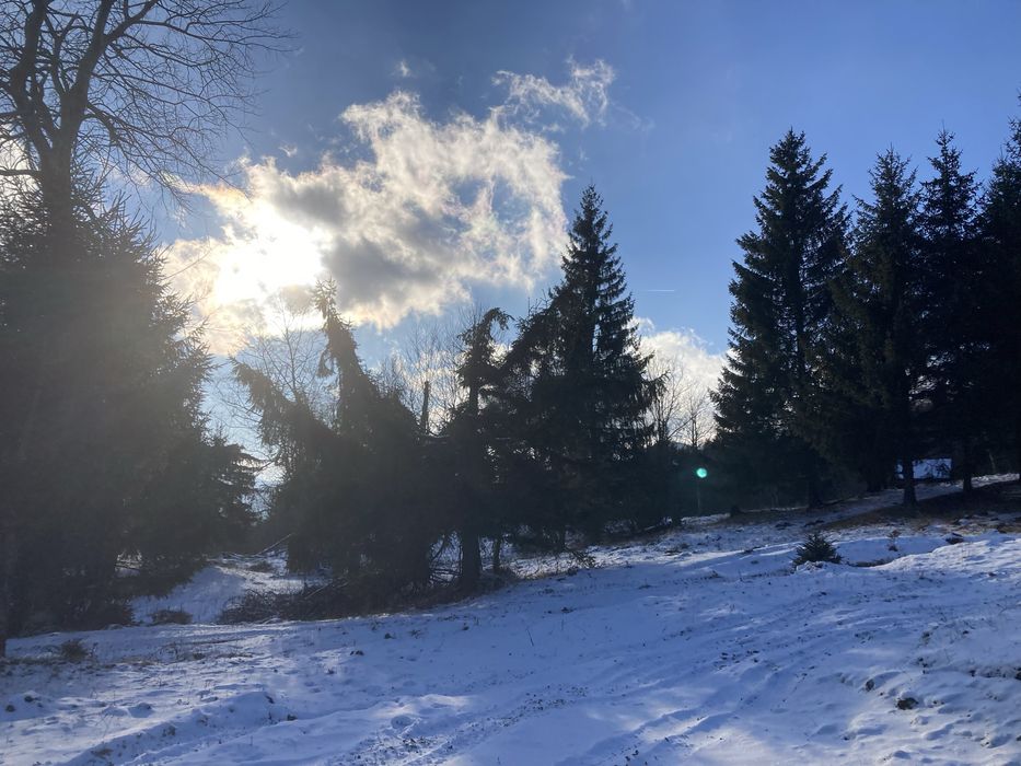 Vand 2 terenuri intravilane si proiect locuinta mobila