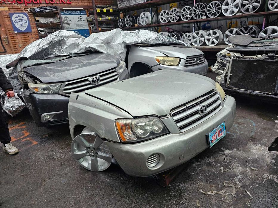 Ноускат  Highlander