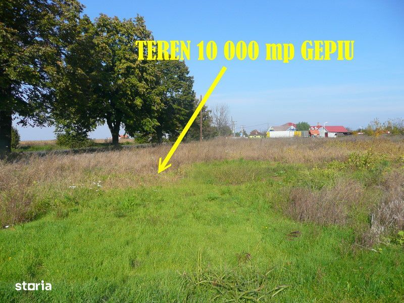 Teren intravilan Gepiu 10 000 mp Fs 174 metri drum E671 Oradea - Arad