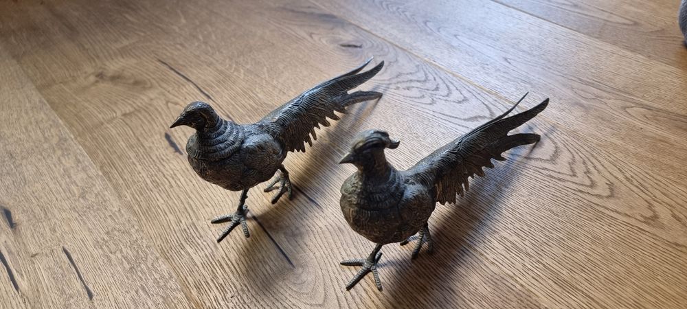 Бронзови фазани , мъжки и женски