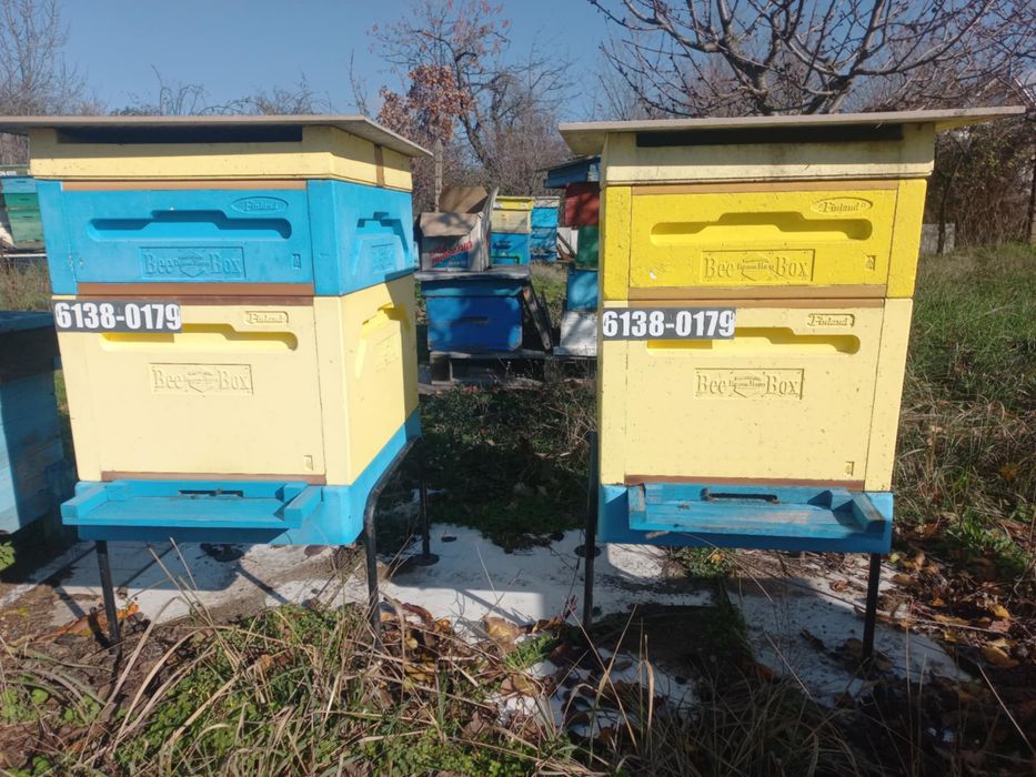 Записвам за пчелни отводки