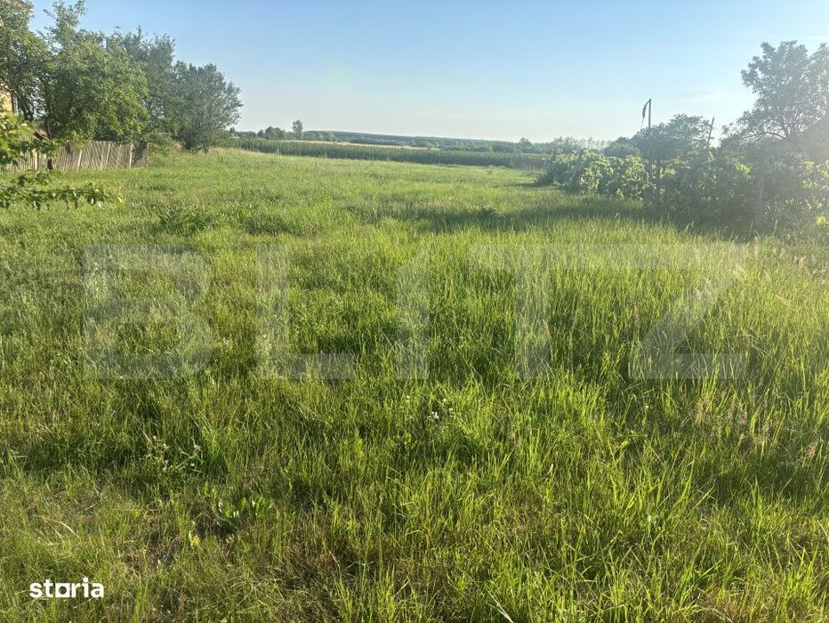 Teren intravilan de vanzare – 13,3 ari, front stradal 23 ml, zona Ci