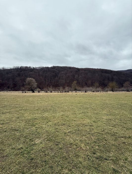 Teren 7300mp Valea Zizinului tarlungeni