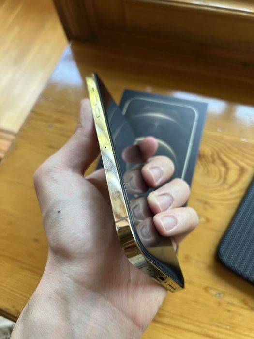 iPhone 12 Pro Max 256