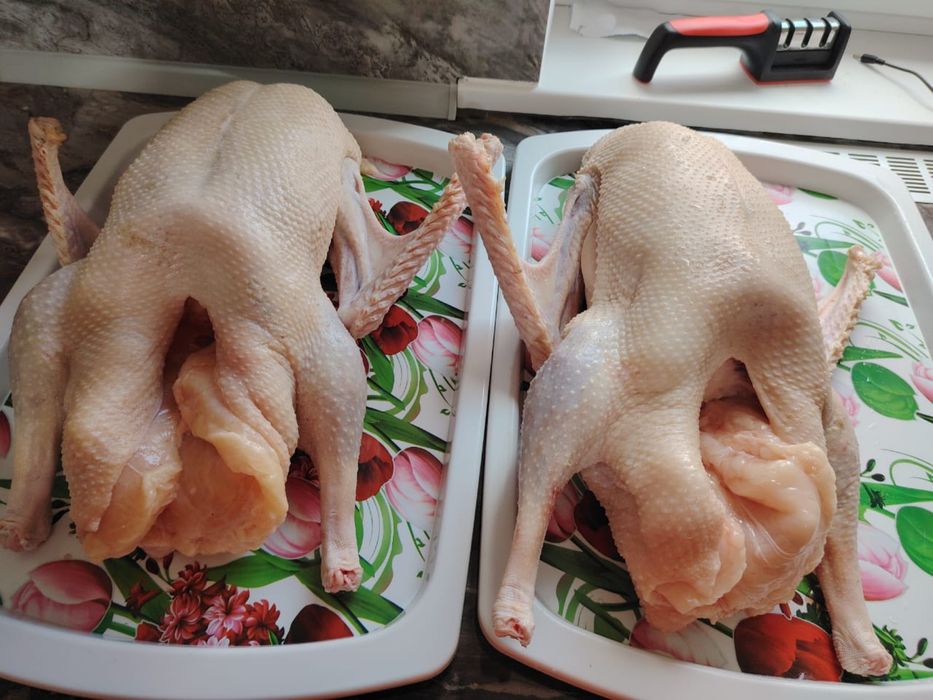 Гуси продам 3500