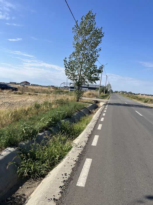 Teren intravilan pielesti