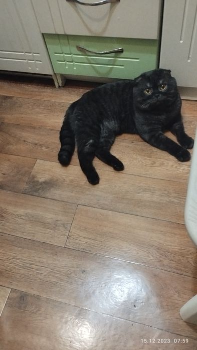 Брутальный жених