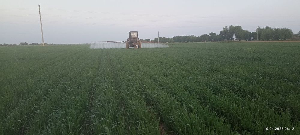 Traktor va avxu sotiladi