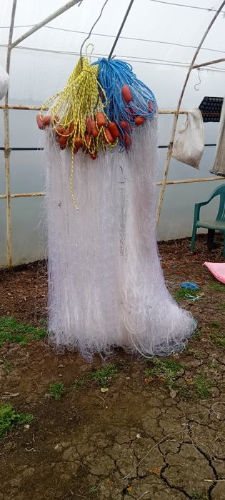 Setca pește,halău,crâsnic plasa