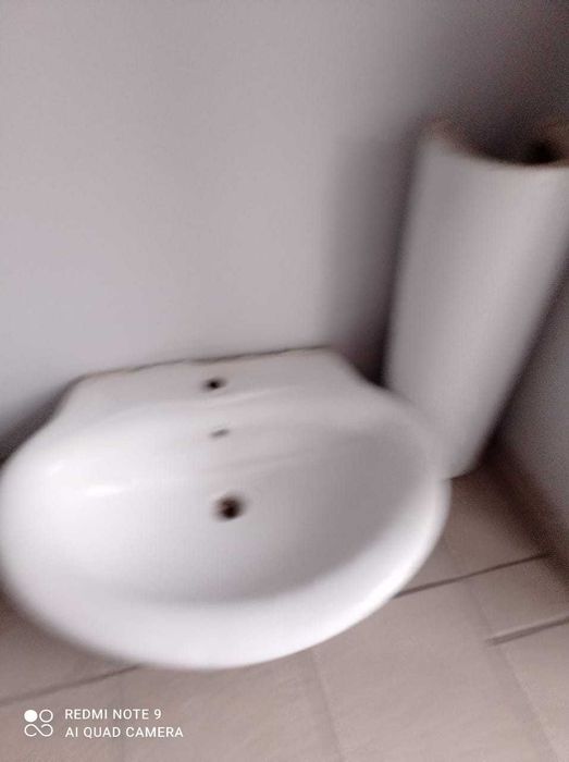 Раковина Белависта