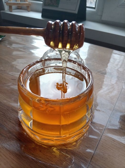 Продам мёд со своей пасеки