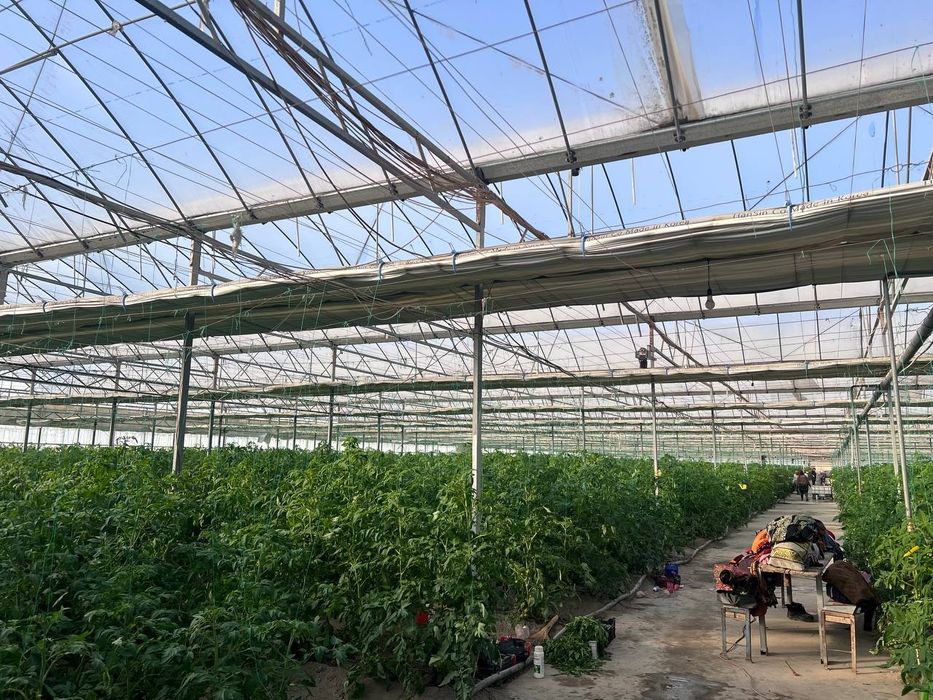 Buxoro shaxridan tayyor ishlab turgan issiqxona binosi  sotiladi