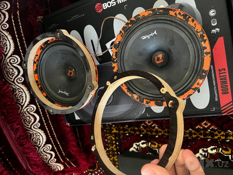 DL audio baracuda