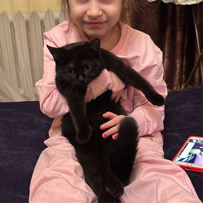 Отдам в добрые руки