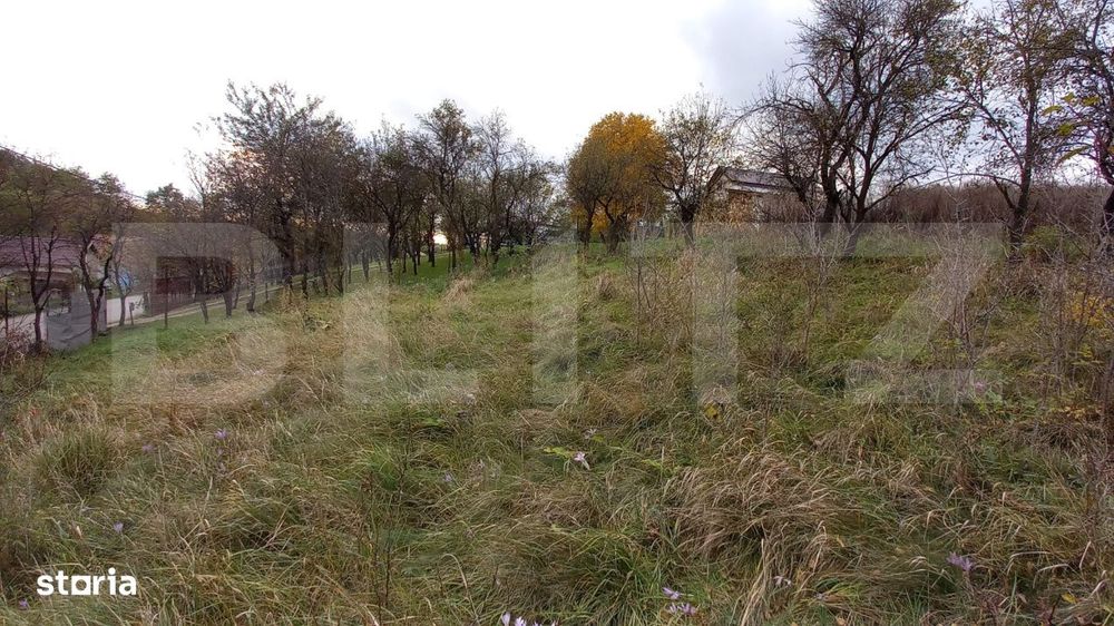 Investitie! Teren intravilan construibil 1651 mp, 25 m front, Filea-Ci