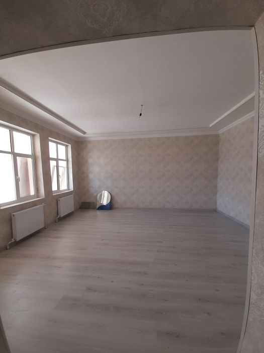 Катеж Сотилади Зелёный Нарпай Дамхужа йонида