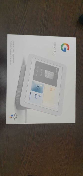 Google Home Nest, nefolosit