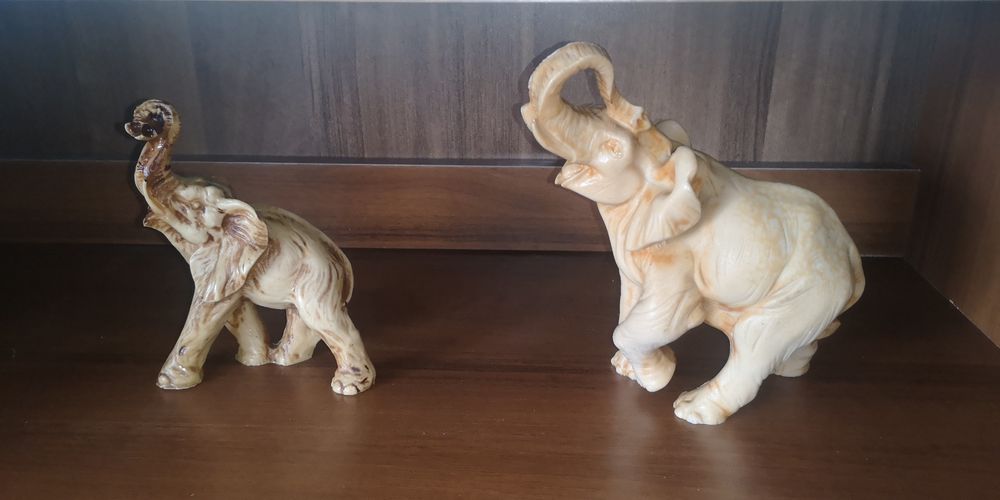 Elefanți răsina, frumoși