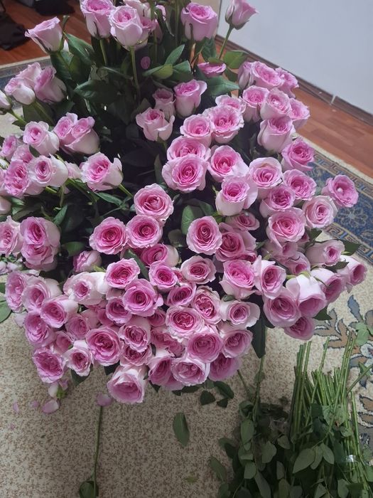 Розы Голландскиие