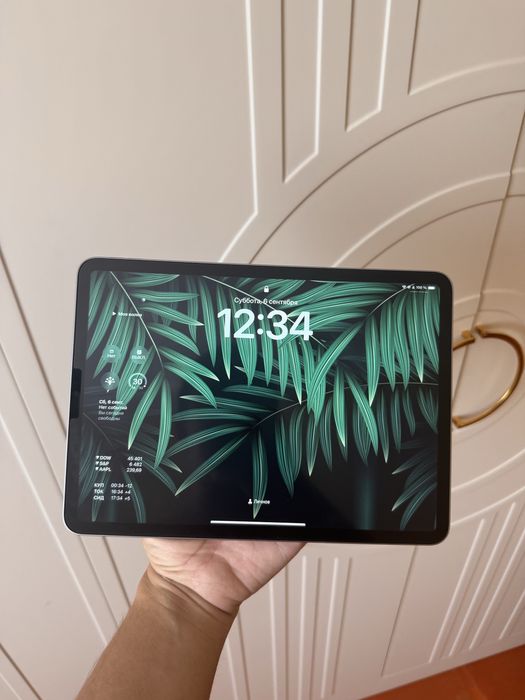 Ipad pro M2 11 дьюмов