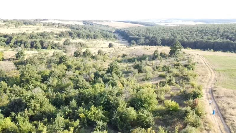 Парцел в Варна, област-с.Приселци площ 5957 цена 150000