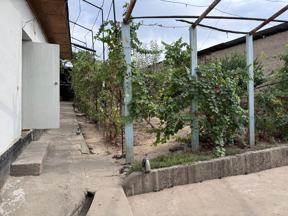 Зангиота, 8 соток ховли сотилади