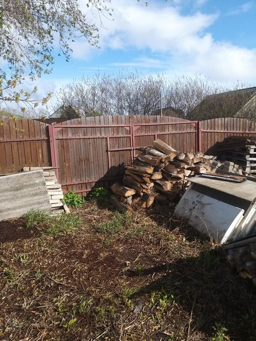 Дача, общество Новинка