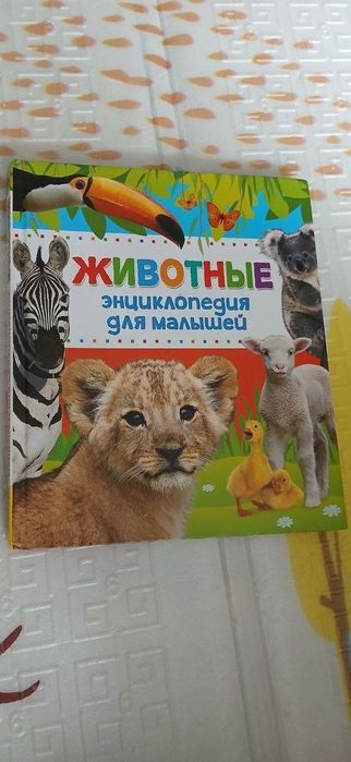 Энциклопедия про животных