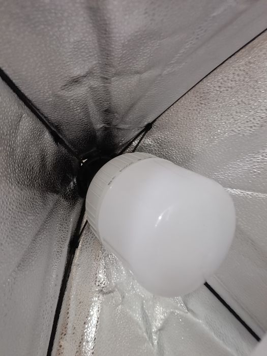 Софтбокс 40/60 штатив 2 метра