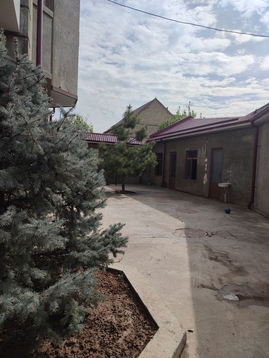 Участка арендага берилади