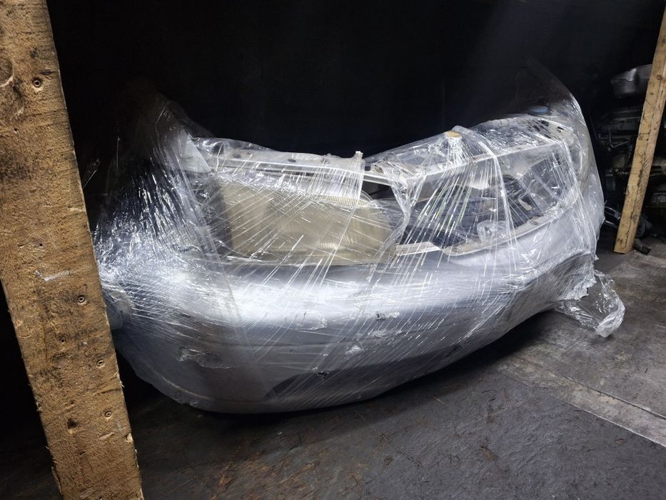 Носкат Одисей морда 1покаленя