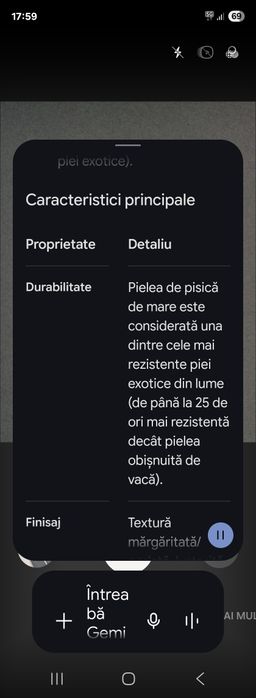 Curea piele de pisica de mare K. 22mmL.G