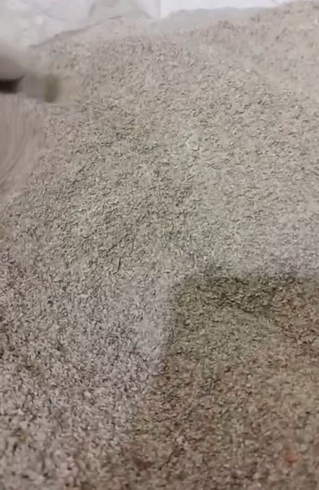 Продам отходы чечевицы в бигбегах