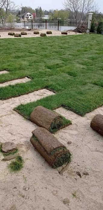 Amenajare grădini, toaletare pomi, scarificare-insamantare gazon!