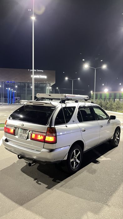 Продам живой корабел