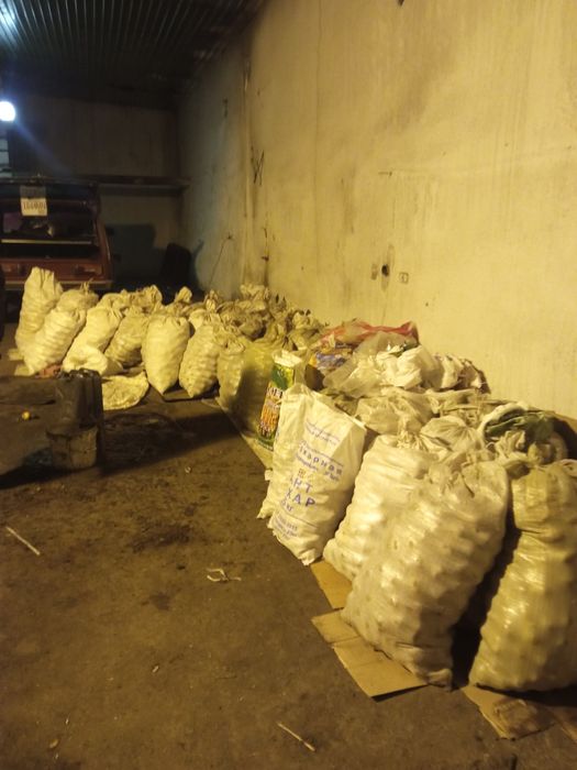 Картошка домашняя