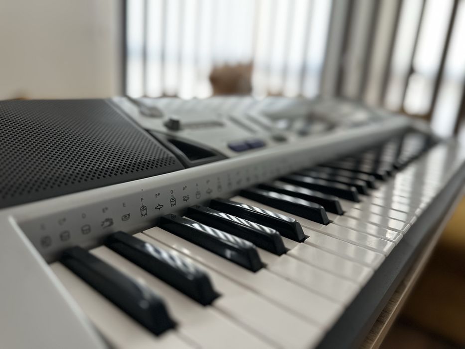 Синтезатор-йоника Casio