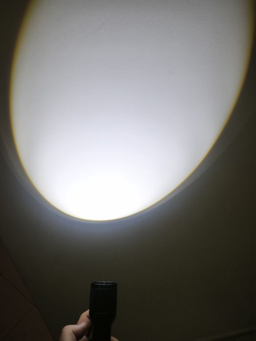 LED фенер Philips 8168